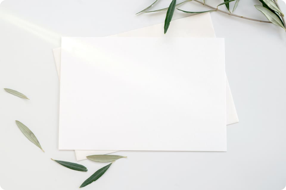 写真：真っ白の紙が数枚置いてあり、その横に植物の葉っぱが置かれている